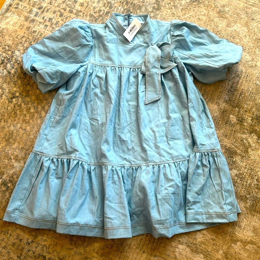 Puff sleeve denim mini dress. Back zipper and lined. NWT